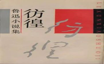 彷徨的读后感5篇