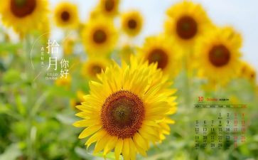 10月的工作计划8篇