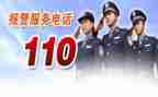 110宣传活动的总结模板5篇