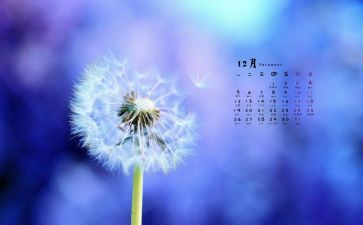 行政前台12月度工作总结8篇