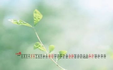 大班12月份工作总结7篇