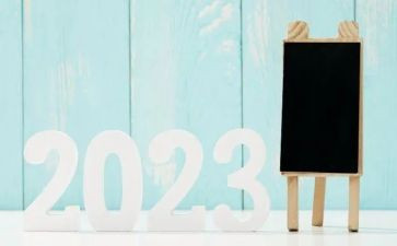 2023扶贫工作总结范文6篇