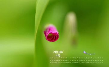 2024年4月卫生月总结7篇