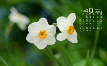 小学班主任4月份工作总结6篇