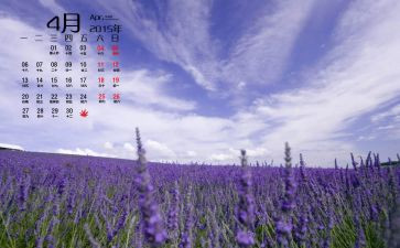 工作4月总结报告8篇
