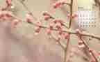 大大班4月份工作计划5篇
