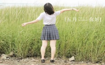 销售5月份工作总结6篇