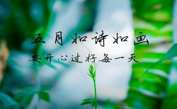 5月度总结报告优质7篇