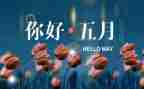 幼儿园教师5月份工作计划8篇