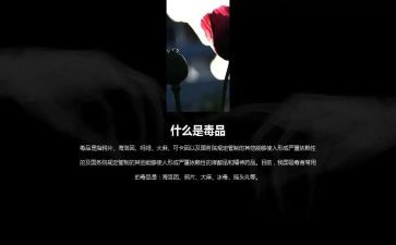 社区626禁毒宣传活动总结7篇