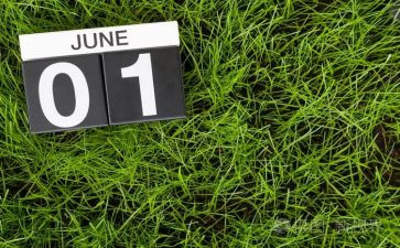 工作6月工作计划7篇