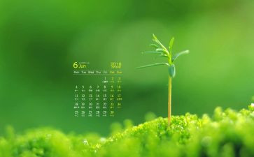 6月份的工作总结模板8篇
