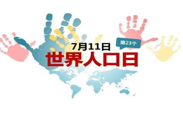 711实践报告范文模板5篇