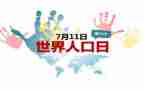 711实践报告范文模板5篇