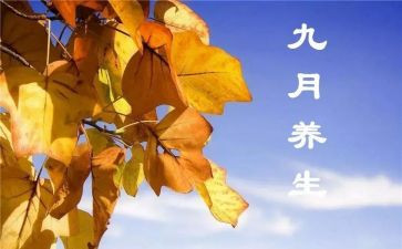 前9月工作总结优质5篇