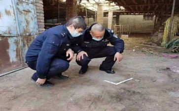 学校的档案管理个人总结6篇