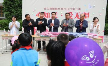 镇百日行动工作总结5篇