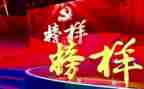 榜样5工作总结6篇