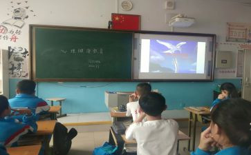 知法守法班会课教案6篇