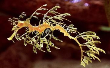 2023生物教学工作计划优秀7篇