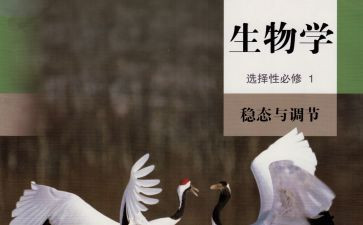 生物工作计划参考7篇