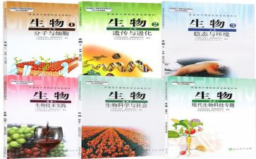 高中生物组工作总结模板5篇