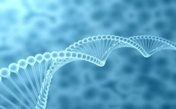 生物工作计划模板6篇