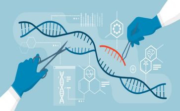 生物组教研工作总结最新7篇