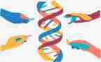 2023生物教学工作计划模板5篇