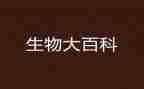 生物工作计划2022年6篇