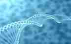 生物教学个人工作计划5篇