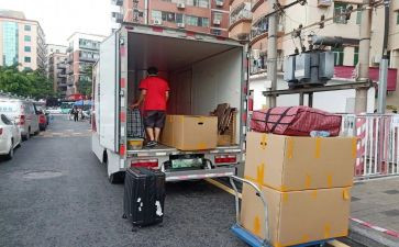 搬家的动物教案6篇
