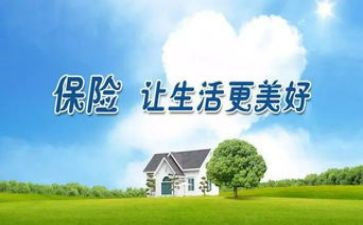 个人保险年度总结8篇