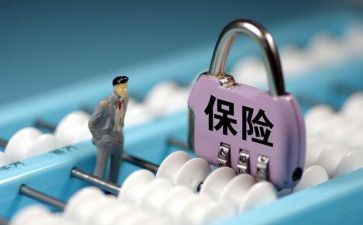 保险公司公司年度总结报告5篇