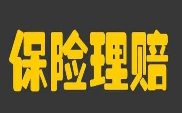 农险保险述职报告8篇