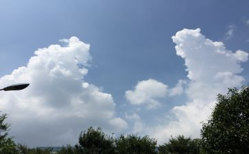 水的变化教学反思精选6篇