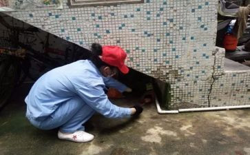 生物病媒防制工作总结6篇