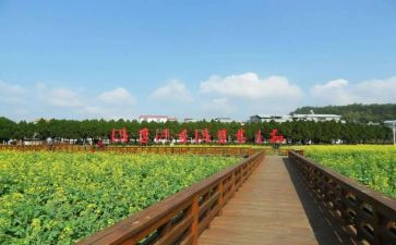 才溪调查报告最新8篇