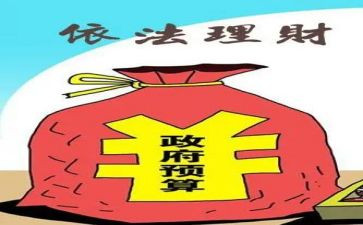 财政所个人工作计划5篇