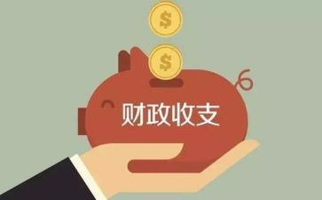 财政局预个人总结精选5篇