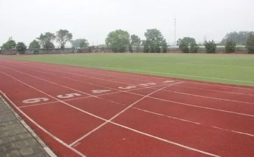 《操场上》教案最新8篇