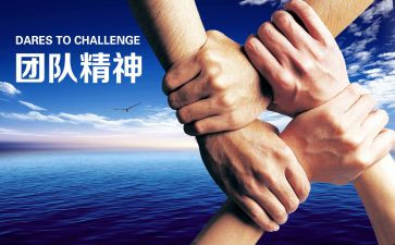 策划活动的总结通用7篇