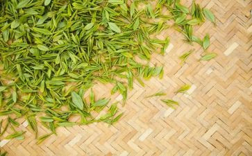 参加茶艺社的心得体会6篇