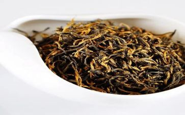 茶的心得体会1000字优秀7篇