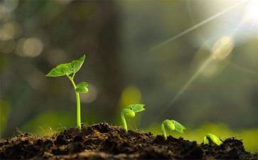 我在—中成长作文5篇