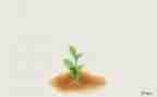 我在—中成长作文优秀7篇