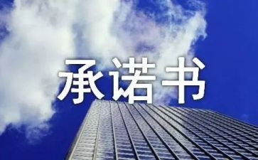 2024廉洁从业承诺书最新6篇