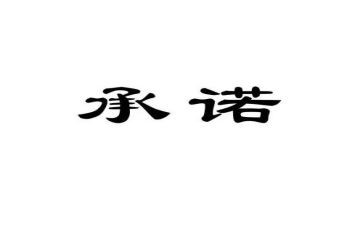 质量及售后承诺书5篇