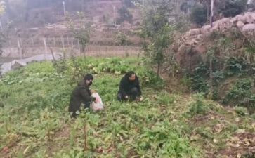 川农自我鉴定参考7篇