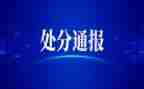 撤销处分申请书格式7篇